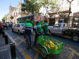 Personal del Ayuntamiento de Guadalajara con inmovilizadores que comenzaron a colocar este lunes en autos mal estacionados. EL INFORMADOR/ CARLOS ZEPEDA