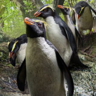 ¡No lo olvides! Estos son todos los estrenos para junio en Netflix