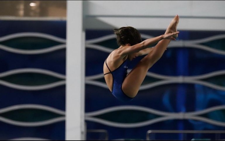 En los últimos meses, nadadoras reclamaron la falta de apoyo por parte de la Conade. Twitter/@CONADE