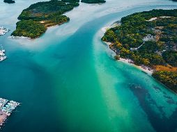 Como los seres humanos no lo vemos es como si no existiera, pero se trata de una de las mayores riquezas de la Tierra, advierten los especialistas. ESPECIAL/Unsplash