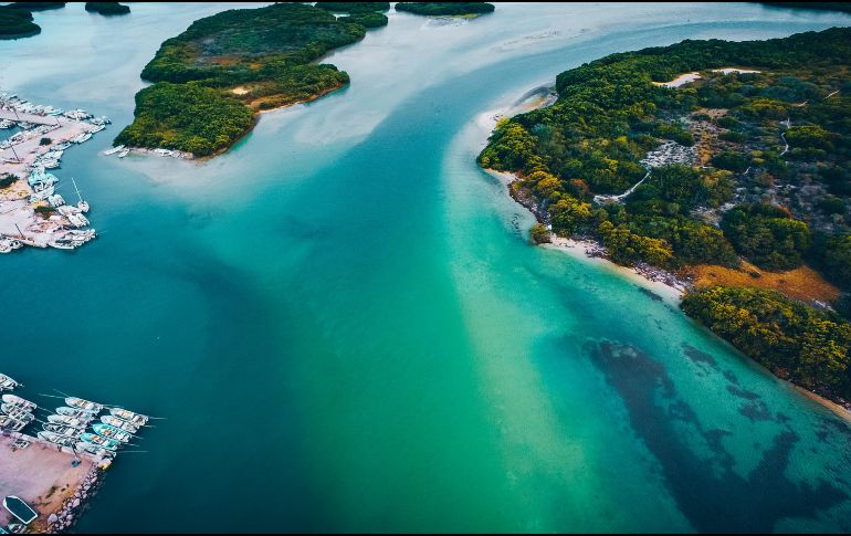 Como los seres humanos no lo vemos es como si no existiera, pero se trata de una de las mayores riquezas de la Tierra, advierten los especialistas. ESPECIAL/Unsplash