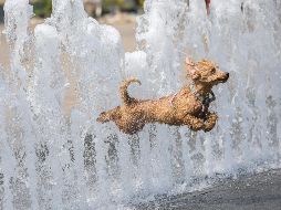 La temperatura máxima que se prevé para este jueves es de 36°C. EFE / ARCHIVO