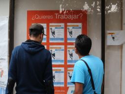 Baja desempleo en países de OCDE; hay 33 millones sin trabajo. SUN/ARCHIVO