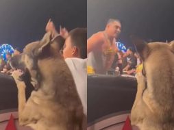 El clip cuenta con más de 90 mil likes. ESPECIAL