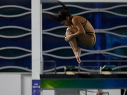 Clavadistas siguen en busca de recursos para poder asistir a sus próximas competencias. ESPECIAL/Conade