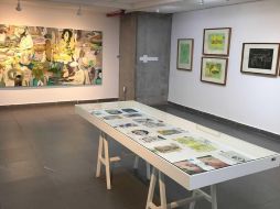 De acuerdo con Rocío Sáenz, 