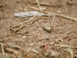 Guanajuato y Jalisco son las dos Entidades que registraron el mayor número de homicidios este fin de semana. EL INFORMADOR/ARCHIVO