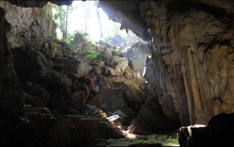Entrada a la cueva de Tam Pà Ling, vista desde el interior. EFE/Imagen cedida por Kira Westaway (Macquarie University)
