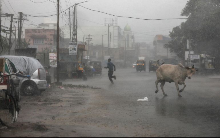 Según su tamaño y ubicación, las tormentas ciclónicas pueden denominarse tornados, trombas de agua, tifones o huracanes. EFE / D. Solanki