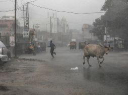Según su tamaño y ubicación, las tormentas ciclónicas pueden denominarse tornados, trombas de agua, tifones o huracanes. EFE / D. Solanki