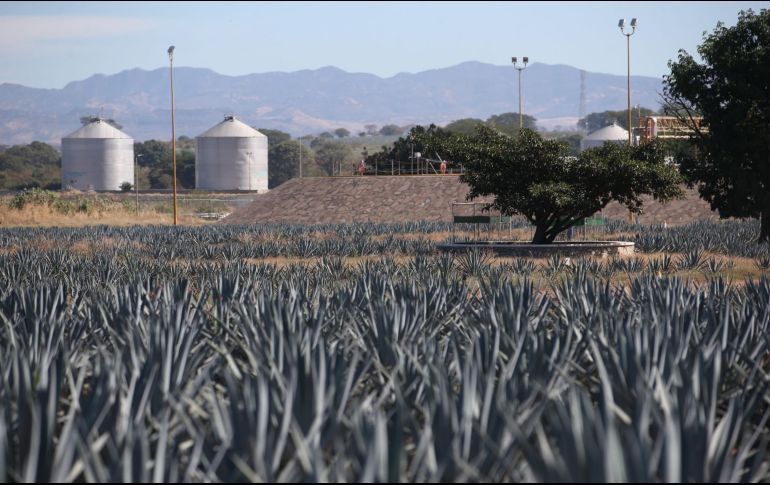 Además de industrias tradicionales, hay polos con nuevos desarrollos. EL INFORMADOR/Archivo