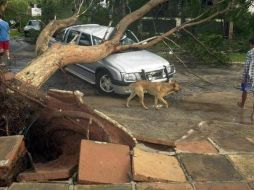 El paso del ciclón por la costa de esta región fronteriza con Argentina y Uruguay ha dejado un rastro de destrucción. ESPECIAL