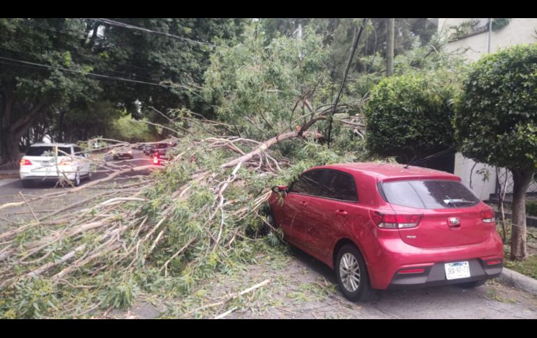 Este sábado la lluvia sorprendió a los tapatíos. ESPECIAL/PC Guadalajara