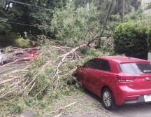 Este sábado la lluvia sorprendió a los tapatíos. ESPECIAL/PC Guadalajara