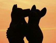 Sorpresa veraniega en Colima