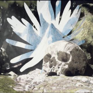 MUSA: ¡Sé lo que harás en el verano!