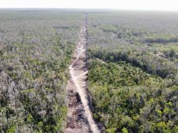 El Tren Maya ha sido uno de los proyectos más polémicos del sexenio de Obrador. SUN/ ARCHIVO