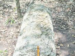 El hallazgo fue en la reserva ecológica de Balamkú. ESPECIAL