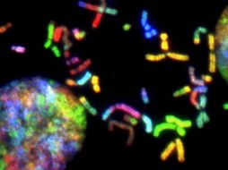 Averiguar qué es lo que aumenta la malignidad de los tumores cuando se pierde esta proteína es esencial para tratar a los pacientes, según los expertos. ESPECIAL/Unsplash