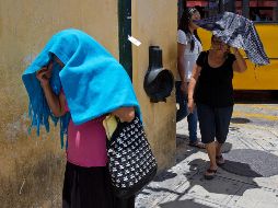 En lo que va del año, 8 personas han fallecido por la ola de calor que azota al país. NTX / ARCHIVO