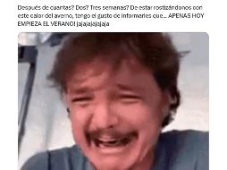 Durante el verano se presentan días muy calurosos y lluvias eventuales por la tarde y la noche, dependiendo de la región. ESPECIAL