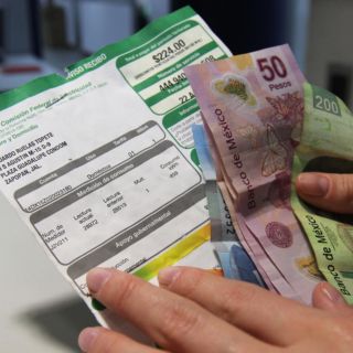 ¿Qué electrodomésticos hacen que llegue más caro tu recibo de luz?