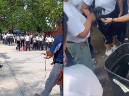 Muchos estudiantes observan cómo es tratada la perrita y sus cachorros. SUN