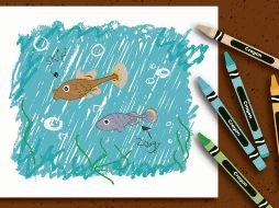 El Zoogoneticus tequila y el Skiffia francesae han regresado al río de donde son endémicos. ESPECIAL/A. Rodríguez