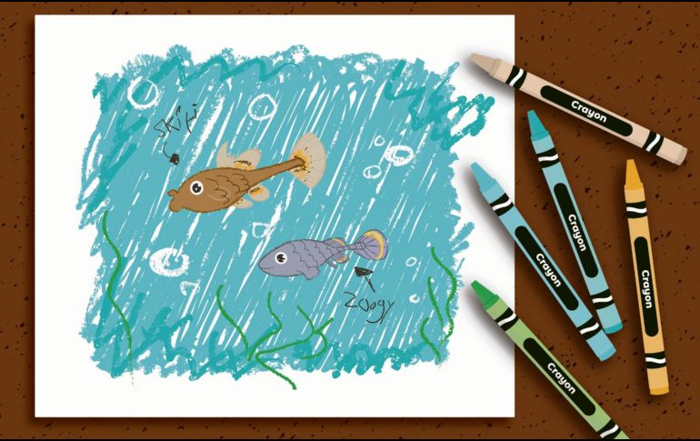 El Zoogoneticus tequila y el Skiffia francesae han regresado al río de donde son endémicos. ESPECIAL/A. Rodríguez