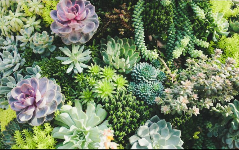 Foto de Yen Vu en Unsplash