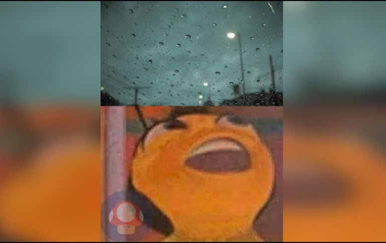 Durante la noche del lunes 26 de junio se registró en la Zona Metropolitana de Guadalajara (ZMG) la primera lluvia de la temporada 2023. ESPECIAL /TWITTER