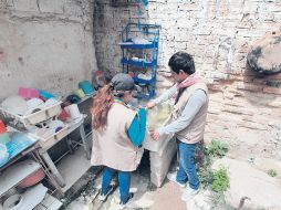 Hasta el momento van 410 colonias intervenidas y 95 mil 442 hectáreas nebulizadas. EL INFORMADOR