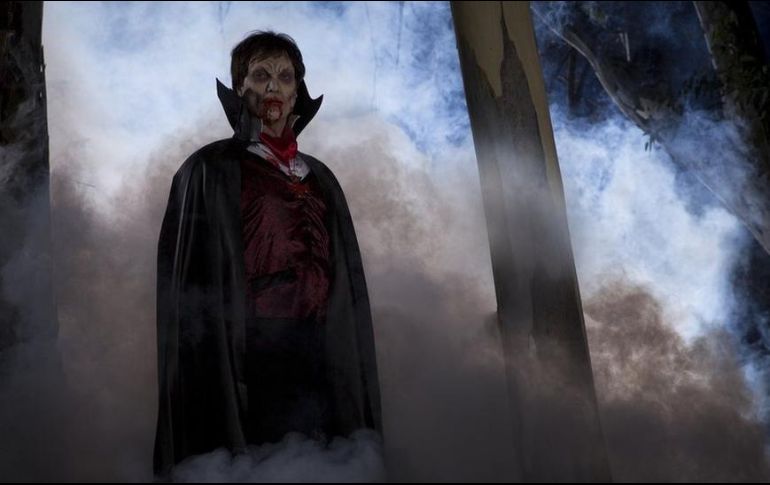 El conde Drácula se metamorfoseaba en murciélago por un mecanismo de préstamos, intercambios y vulgarizaciones culturales de ida y vuelta, que partían de considerar a los murciélagos hematófagos como 