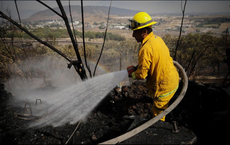 La Primavera es víctima constante de imprudencias humanas. EL INFORMADOR/ ARCHIVO