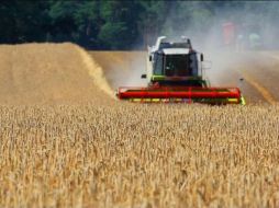 A pesar de la injerencia de la ONU, continúan los problemas con las transacciones financieras de los bancos agrícolas de ambas naciones. AFP/ Archivo