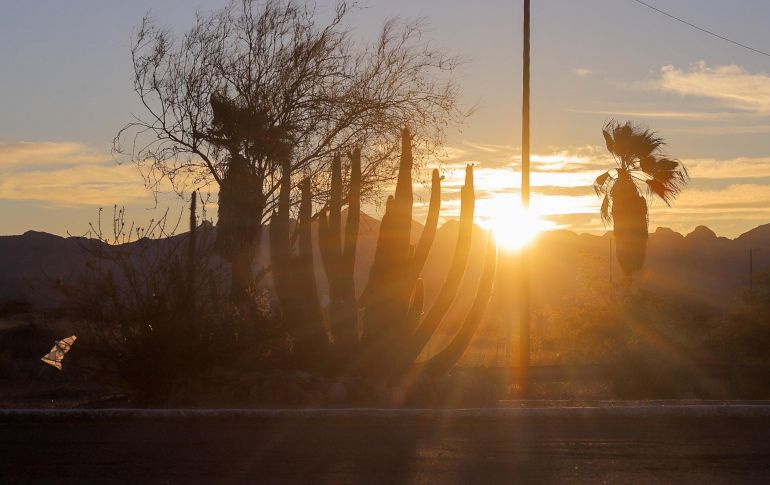 La temperatura global promedio sobre la superficie del planeta marcó el martes 4 de julio el récord de 17.18 grados Celsius. SUN / ARCHIVO