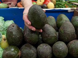 México es el principal generador y exportador de aguacate del mundo, cuya producción supera las 2.3 millones de toneladas por año. EL INFORMADOR / ARCHIVO
