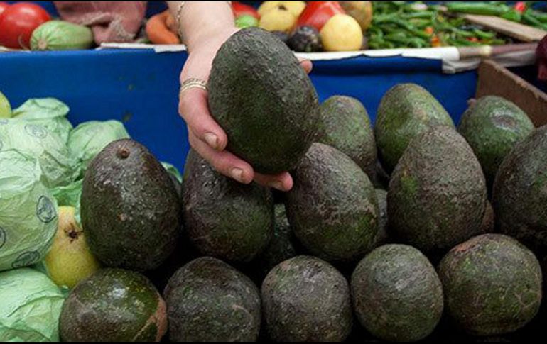 México es el principal generador y exportador de aguacate del mundo, cuya producción supera las 2.3 millones de toneladas por año. EL INFORMADOR / ARCHIVO
