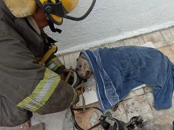 El incendio fue sofocado sin mayores contratiempos y no hubo personas lesionadas. ESPECIAL