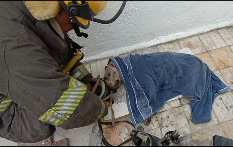 El incendio fue sofocado sin mayores contratiempos y no hubo personas lesionadas. ESPECIAL