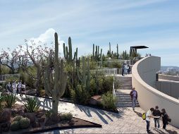 Categoría de “concepto de paisaje de herencia cultural”. CORTESÍA/ UdeG