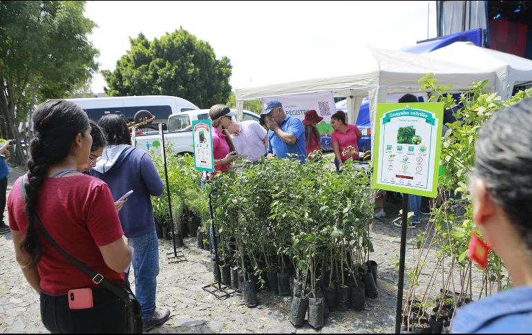Bosque Urbano 2023 en el Parque Metropolitano. EL INFORMADOR/C. Zepeda