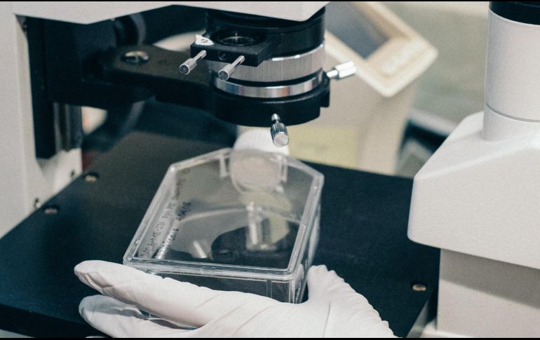 El hallazgo podría ayudar a explicar por qué las variantes X4-VIH-1 muy raramente conducen a una infección sistémica. ESPECIAL/ Unsplash