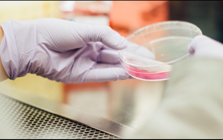 La investigación por fin revela un aspecto clave para entender el proceso que hace al cólera potencialmente letal. ESPECIAL/ Unsplash