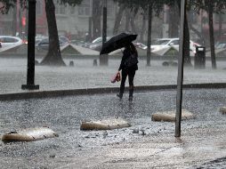 El temporal de lluvias de extenderá un par de meses/ EL UNIVERSAL