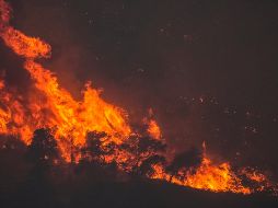 Los evacuados se congregaron a lo largo de la costa o fueron alojados en escuelas y hoteles. AP/PETROS GIANNAKOURIS