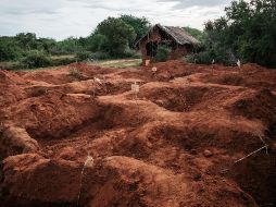 El número de muertos en Kenia aumentó ayer, luego que se exhumaron más cadáveres, al parecer todos seguidores de un líder que les ordenó dejar de comer para morir y así conocer a Jesús. AFP / ARCHIVO