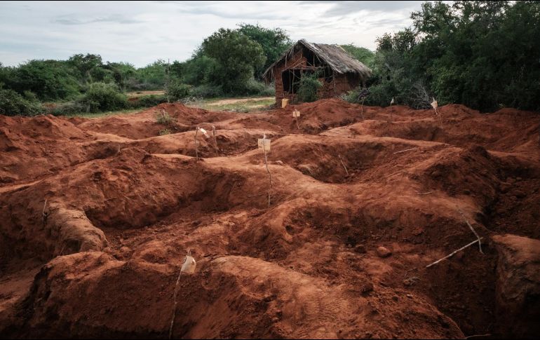 El número de muertos en Kenia aumentó ayer, luego que se exhumaron más cadáveres, al parecer todos seguidores de un líder que les ordenó dejar de comer para morir y así conocer a Jesús. AFP / ARCHIVO