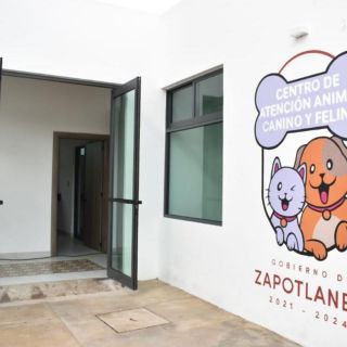 Zapotlanejo tiene nuevo centro de atención para “lomitos” y “michis”
