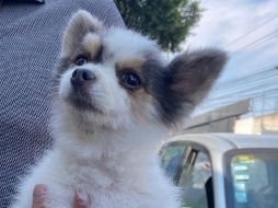 En el comunicado oficial, la Fiscalía 